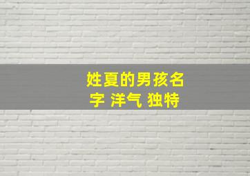 姓夏的男孩名字 洋气 独特